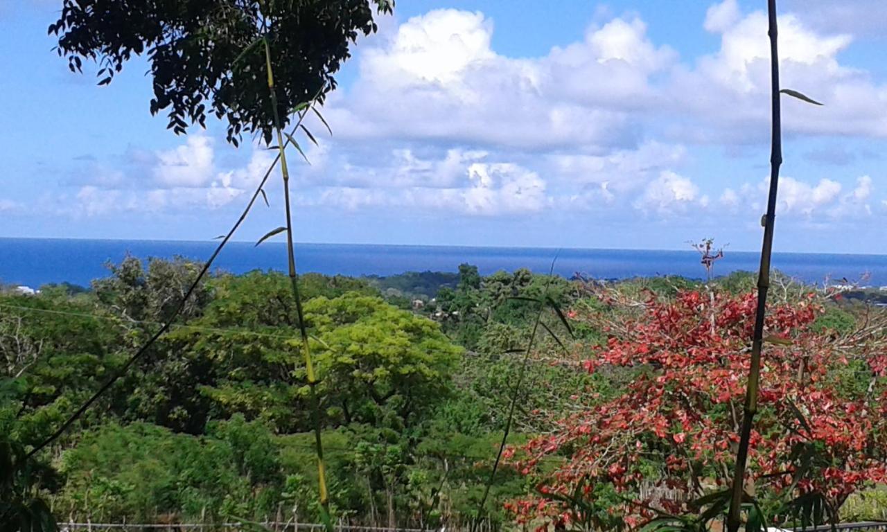 Sosúa B&B El Mirador Al Mar المظهر الخارجي الصورة