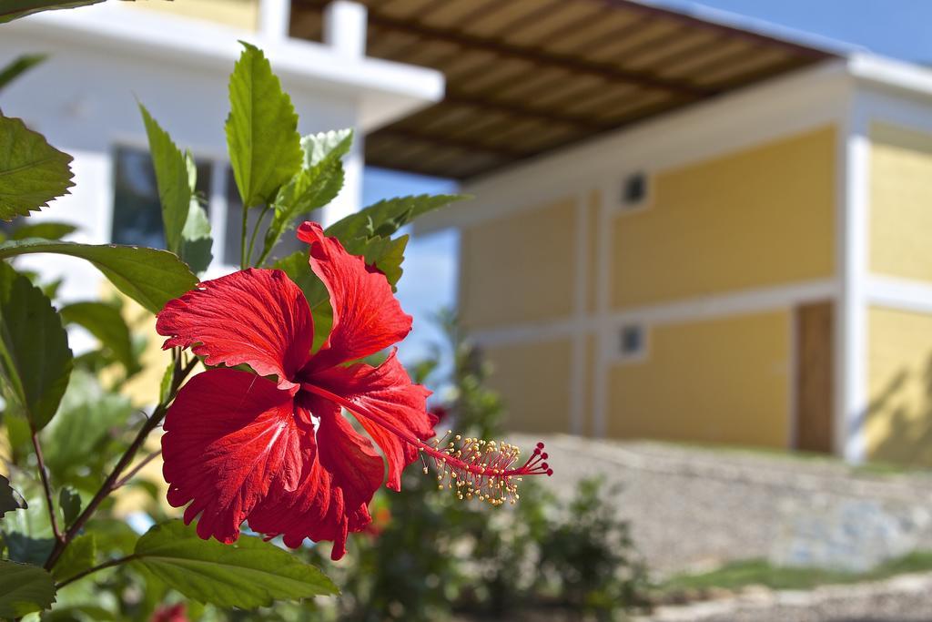 Sosúa B&B El Mirador Al Mar المظهر الخارجي الصورة