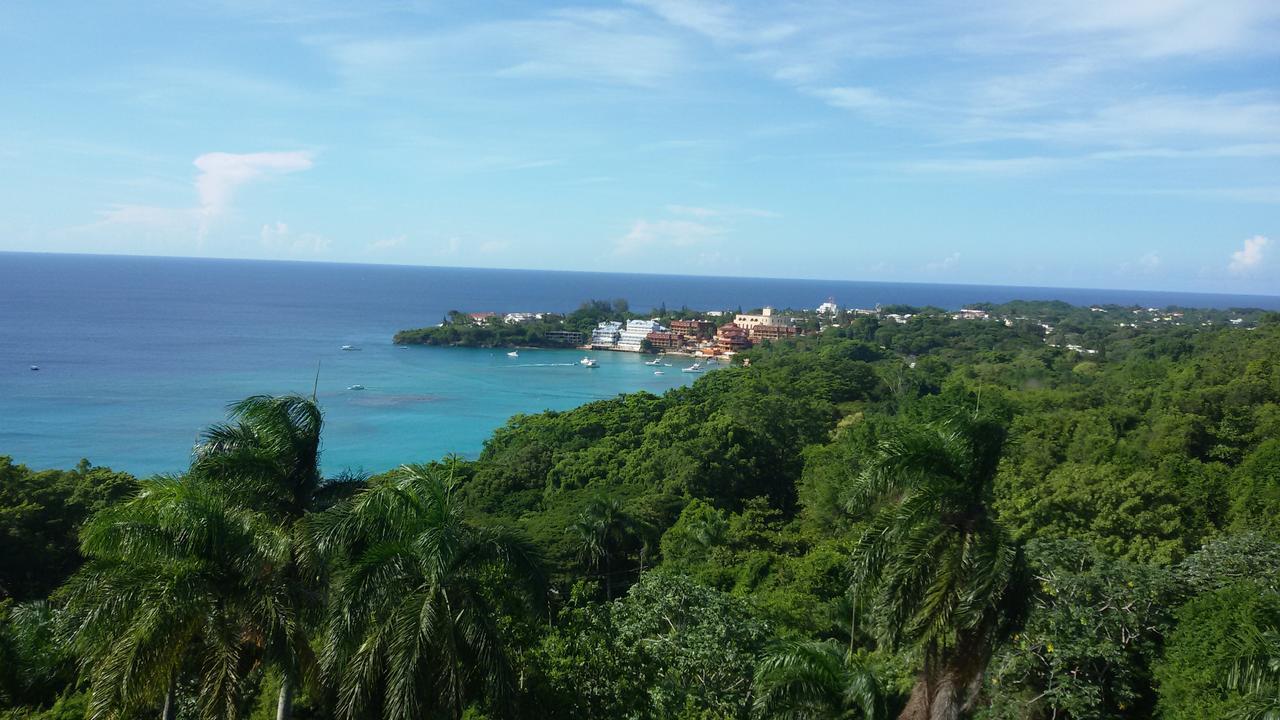 Sosúa B&B El Mirador Al Mar المظهر الخارجي الصورة